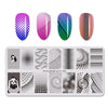 Geometry Rotating Stripe Nail Stamping Plate BBBXL-086